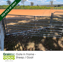 Load image into Gallery viewer, Built to Last: Massive 65x65mm with 2.5mm wall thickness Gate in Frame for Sheep / Goat | Graintec Scientific