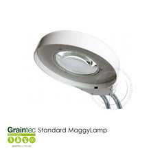 Load image into Gallery viewer, Standard Maggylamp - Essential Tool for Grain Inspection and Quality Control | Graintec Scientific