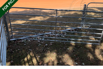 Built to Last: Massive 65x65mm with 2.5mm wall thickness Gate in Frame for Sheep / Goat | Graintec Scientific