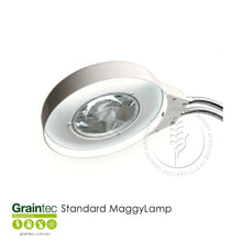 Load image into Gallery viewer, Standard Maggylamp - Essential Tool for Grain Inspection and Quality Control | Graintec Scientific
