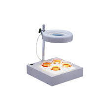 Load image into Gallery viewer, Twin Tube MaggyLamp - Magnifies and Illuminates | Graintec Scientific
