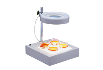 Twin Tube MaggyLamp - Magnifies and Illuminates | Graintec Scientific