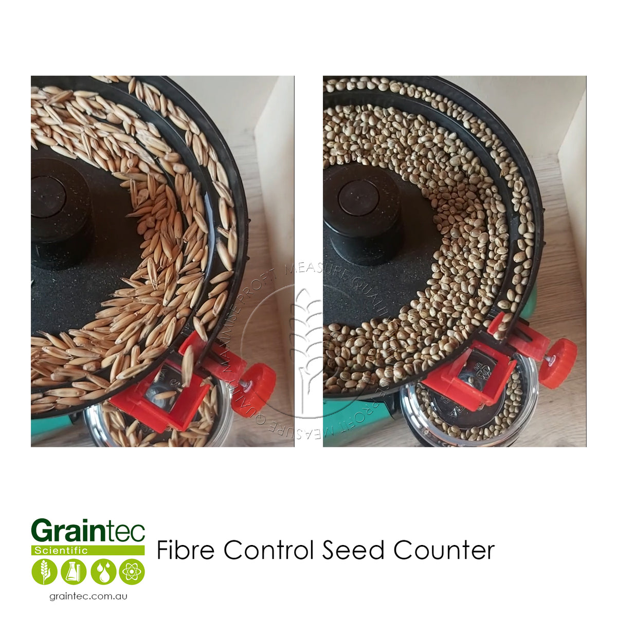 Fiber Counter Fibre Control Seed Counter – Precision Grain Counting & TKW Analysis ...