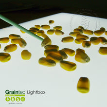 Load image into Gallery viewer, GRAINTEC SCIENTIFIC Lightbox:  Ideal for inspection of grains and seeds
