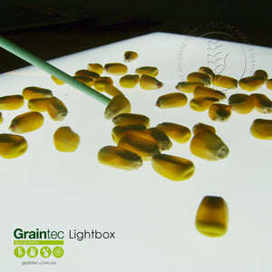 GRAINTEC SCIENTIFIC Lightbox:  Ideal for inspection of grains and seeds