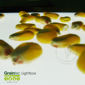 GRAINTEC SCIENTIFIC Lightbox:  Ideal for inspection of grains and seeds
