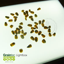 Load image into Gallery viewer, GRAINTEC SCIENTIFIC Lightbox:  Ideal for inspection of grains and seeds
