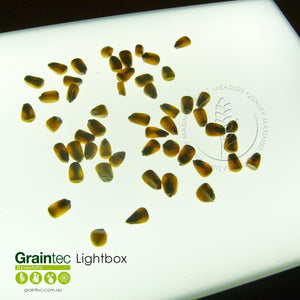 GRAINTEC SCIENTIFIC Lightbox:  Ideal for inspection of grains and seeds