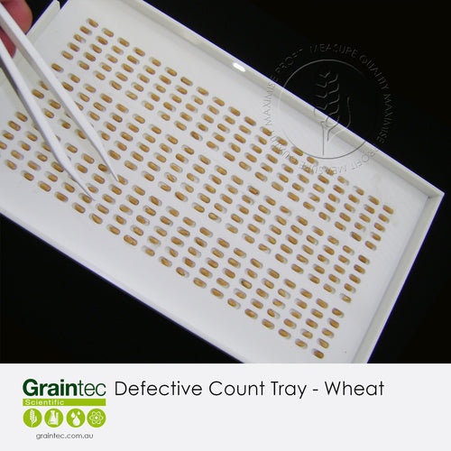 Graintec Scientific | Defective Count Tray - Wheat: essential tool for identifying defective grains when following GTA standards for wheat.