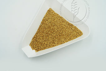 Classic white triangular seed and grain tray for sampling and grain testing. Available at Graintec Scientific | www.graintec.com.au